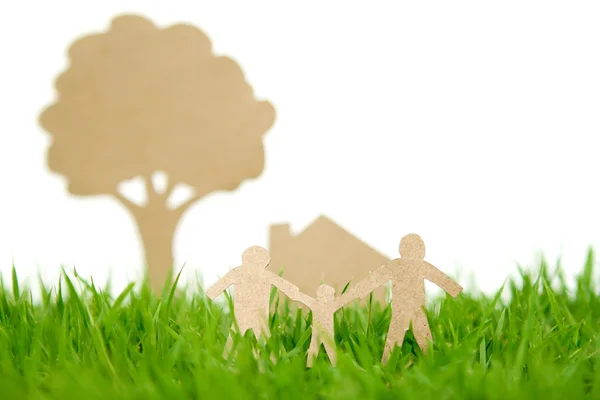 Papier gesneden van familie met huis en boom op verse lente groene gr — Stockfoto