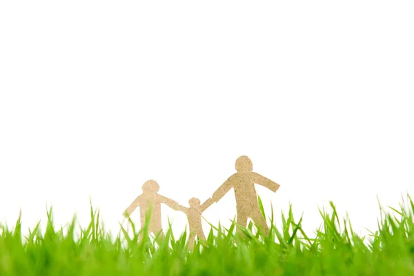 Papír řez rodiny na svěží jarní zelené trávě — Stock fotografie