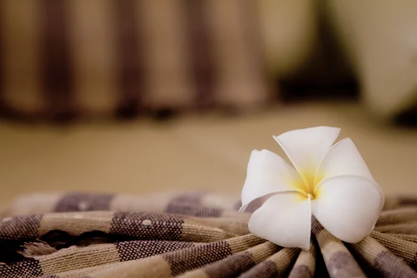 Belo frangipani descansando em cima da toalha — Fotografia de Stock