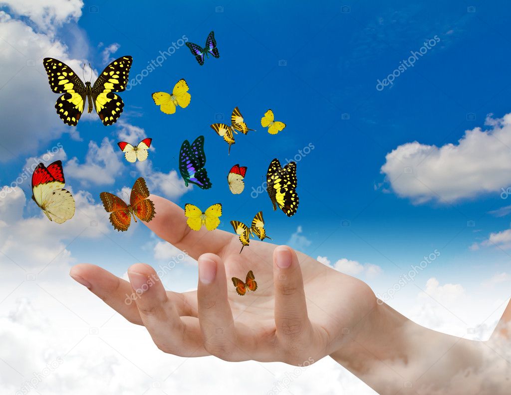 Hand holding butterflies