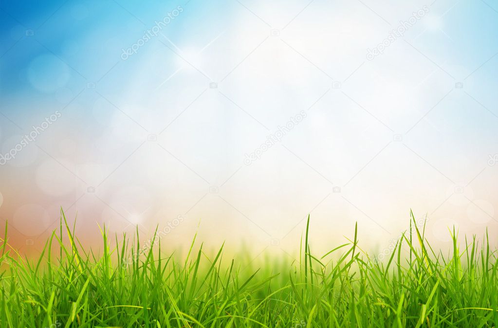 Nature Spring Grass Background Texture Stock Photo 1020496915  Shutterstock
