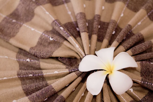 Belo frangipani descansando em cima da toalha — Fotografia de Stock