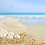 Shell With A Pearl Stock Photo By ©silvae 5767462