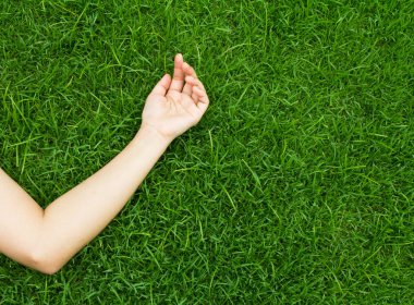 Hand on green lush grass clipart