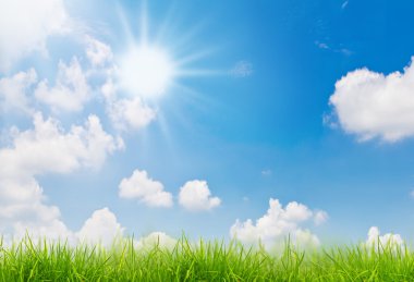 Fresh spring green grass and blue sky clipart