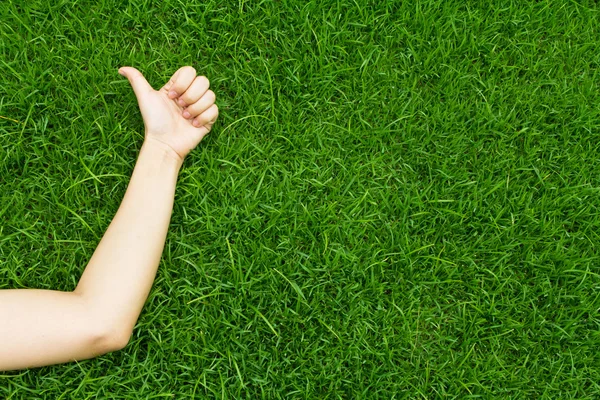 stock image Hand on green lush grass