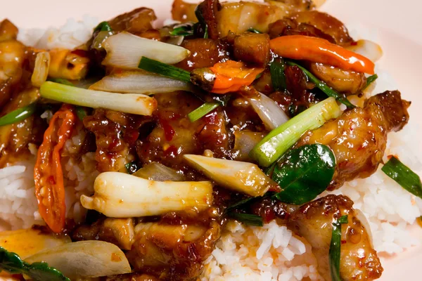 Carne de porco com molho "Curry" e arroz frito — Fotografia de Stock