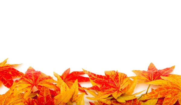 Yapay maple leafs izole bir beyaz — Stok fotoğraf