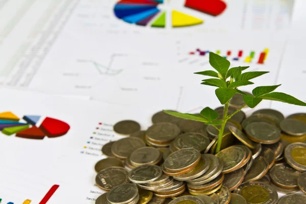 Träd växer från mynt på finansiella grafer — Stockfoto