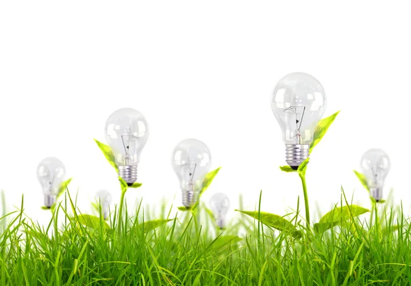 Eco concetto lampadina crescere nell'erba contro il cielo blu — Foto Stock