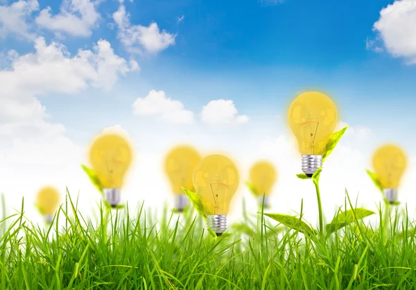 Eco koncept-lampa växa i gräset mot blå himmel — Stockfoto
