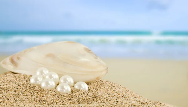 Sea shell with great white pearl — Stock Photo, Image