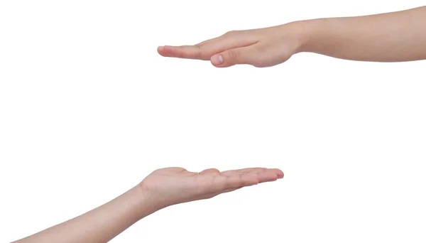 Duas mãos isoladas sobre fundo branco — Fotografia de Stock