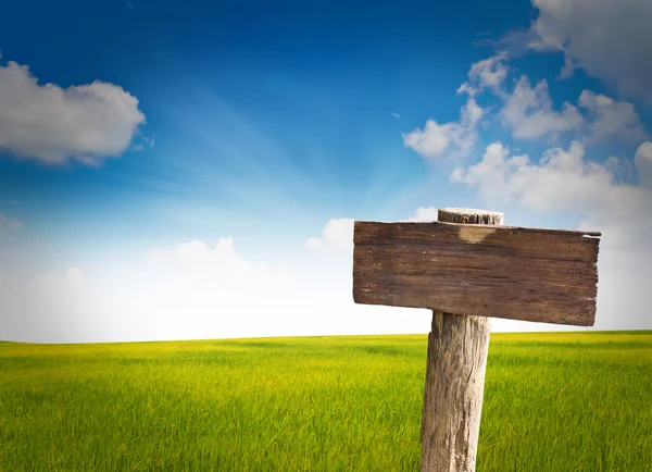 Holzschild mit Gras und blauem Himmel — Stockfoto