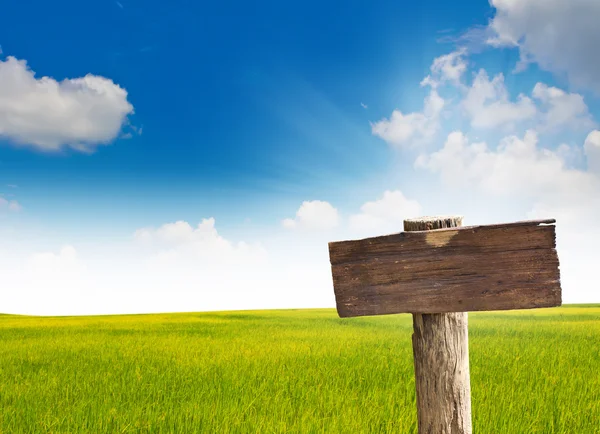 木标志与草和蓝色的天空 — 图库照片