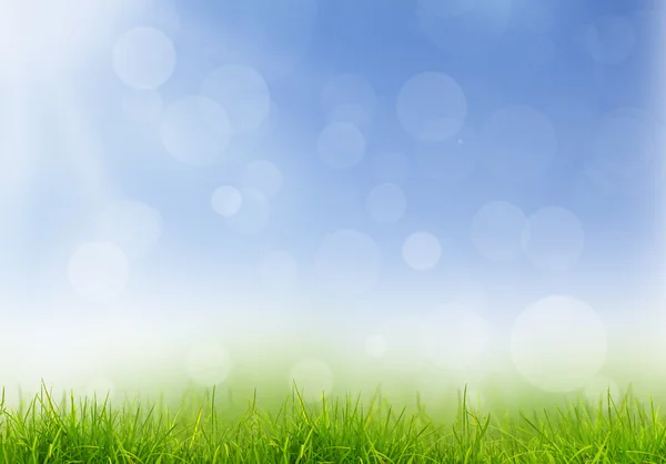Primavera fresca grama verde e céu azul — Fotografia de Stock