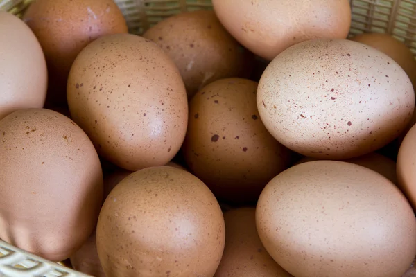 Bruin eieren in een rieten mand — Stockfoto