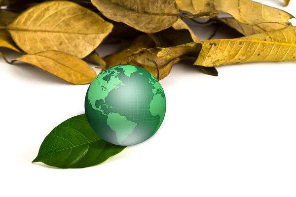 乾燥した葉と緑の地球 — ストック写真