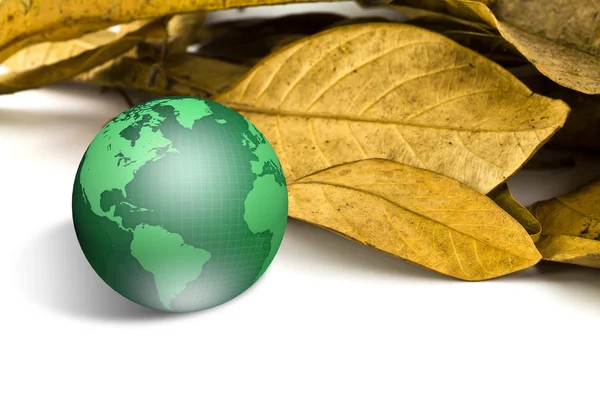 Green earth with dry leaves — Stock Photo, Image