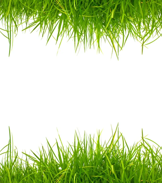 Kopya alanı beyaz zemin üzerine taze bahar yeşil çimen. — Stok fotoğraf