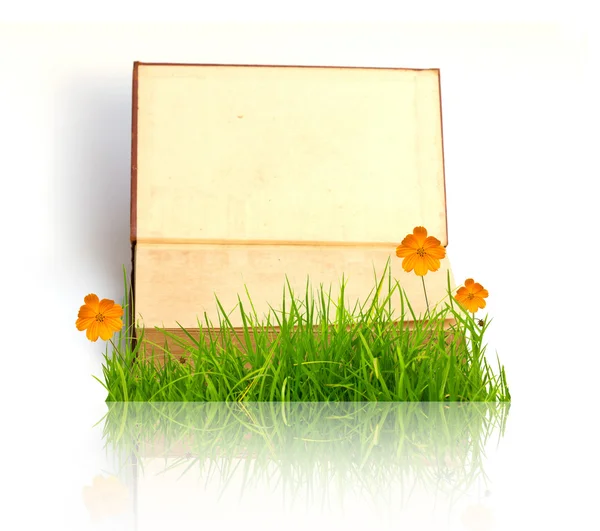 Boek met bloem en gras — Stockfoto