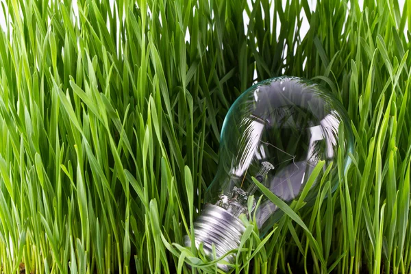 Lamp in een bed van gras — Stockfoto