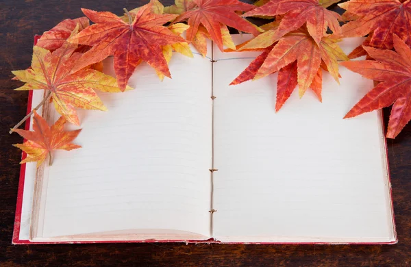 Open old book and Artificial autumn maple leafs — Stock Photo, Image