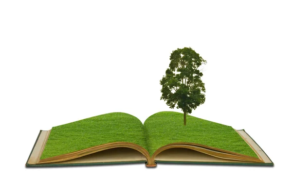 Drzewa rosnące z książki — Zdjęcie stockowe