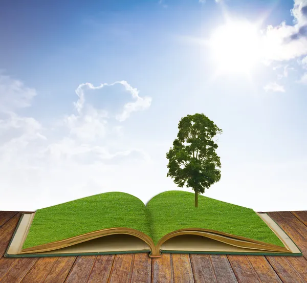 Tree growing from a book — Stock Photo, Image