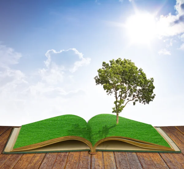 Tree growing from a book — Stock Photo, Image