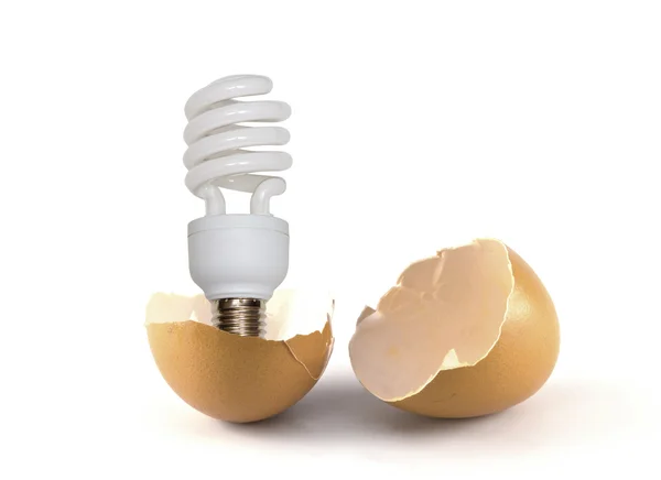 Zerbrochenes Ei und Lampe wird herausgezogen. — Stockfoto