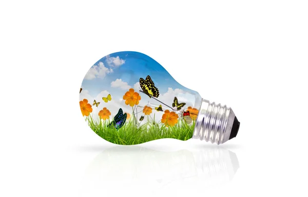 Light bulb and fresh spring green grass with butterfly — Stock Photo, Image