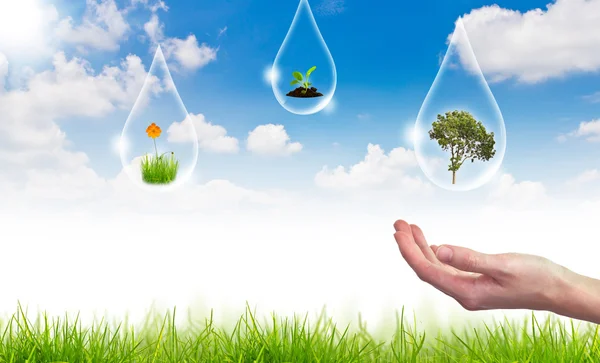 Eco concept: boom in waterdruppel tegen de zon en de blauwe sk — Stockfoto
