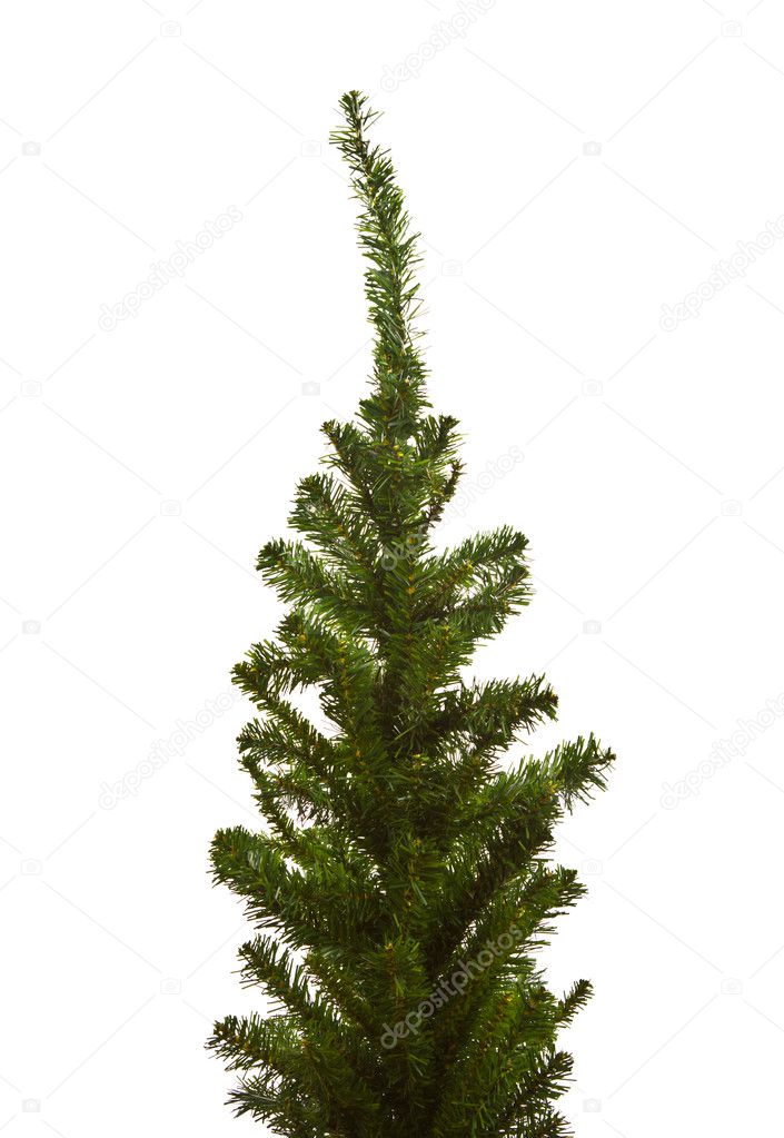 Christmas tree ready to decorate isolated on white background