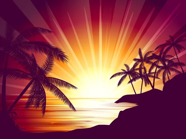Coucher de soleil tropical — Image vectorielle