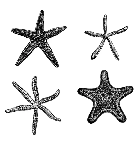 Морские звезды — стоковый вектор
