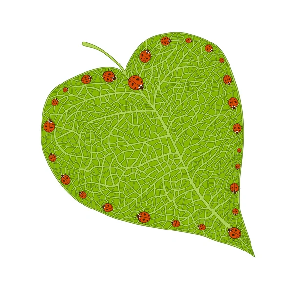 Ladybugs heart — Stock Vector