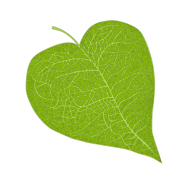 Heart shaped leaf — Stock Vector