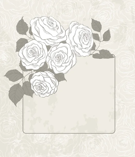 Roses et carte — Image vectorielle