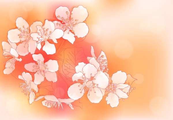 Flores de cerezo — Archivo Imágenes Vectoriales