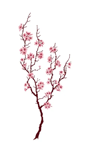 Árbol de primavera — Archivo Imágenes Vectoriales