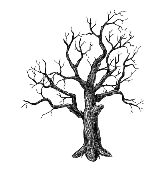 这棵老树 — 图库矢量图片