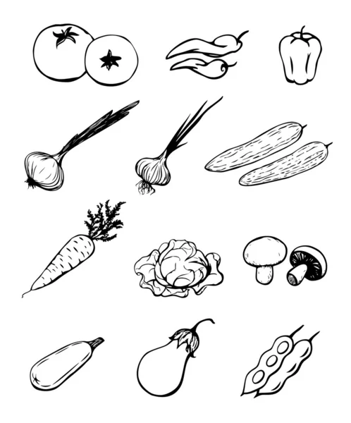 Овочі — стоковий вектор