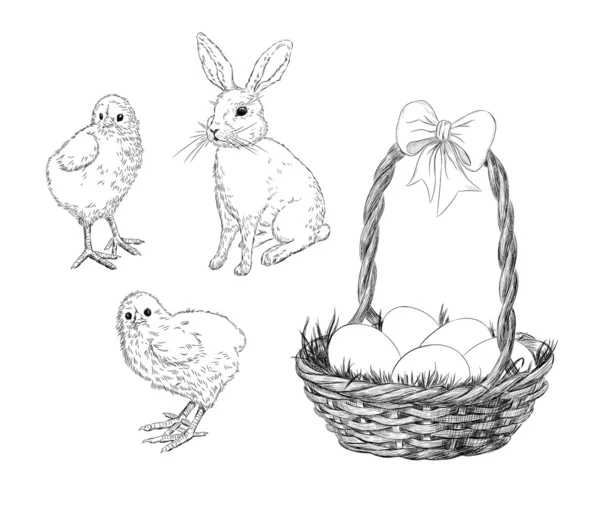 닭, 토끼 및 바구니 — 스톡 벡터