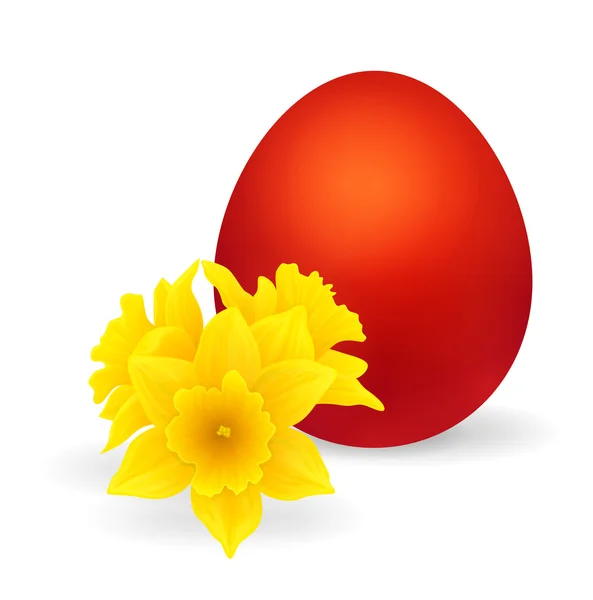 復活祭の卵と水仙の花 — ストックベクタ