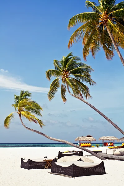 Hindistan cevizi ağaçları ve mavi gökyüzü ile plaj kanepeler — Stok fotoğraf
