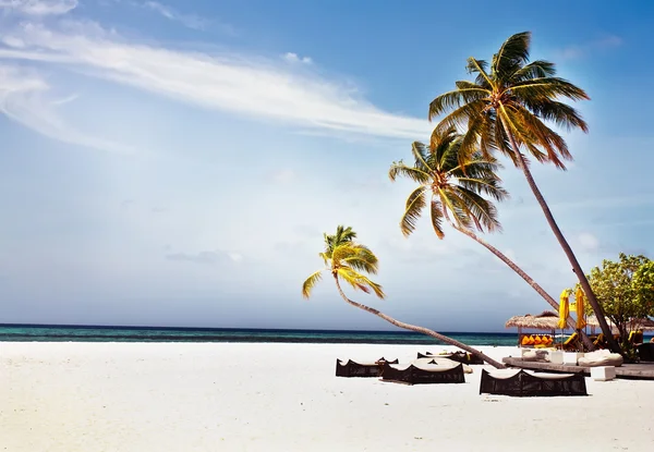 Kokospalmen und Strandliegen mit blauem Himmel — Stockfoto