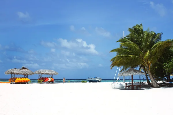 Coqueiros e sofás de praia com céu azul — Fotografia de Stock