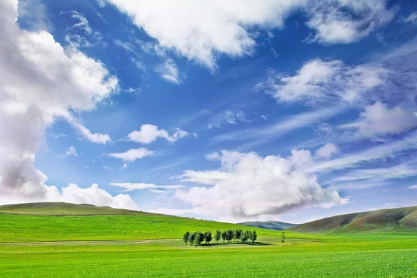 Boerderij gras vlakte onder de blauwe hemel Stockfoto