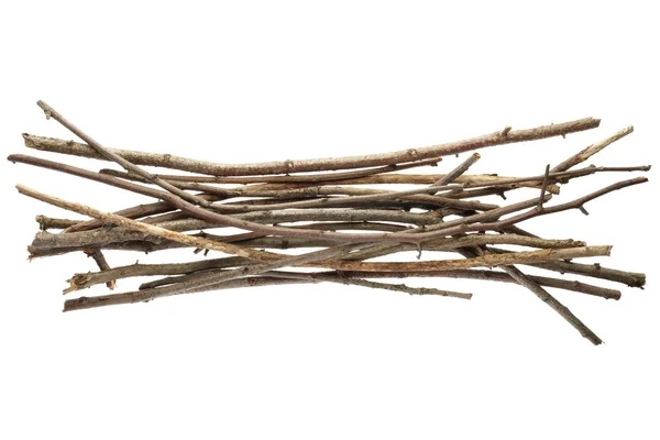 Carrapatos e galhos, pacote de madeira — Fotografia de Stock